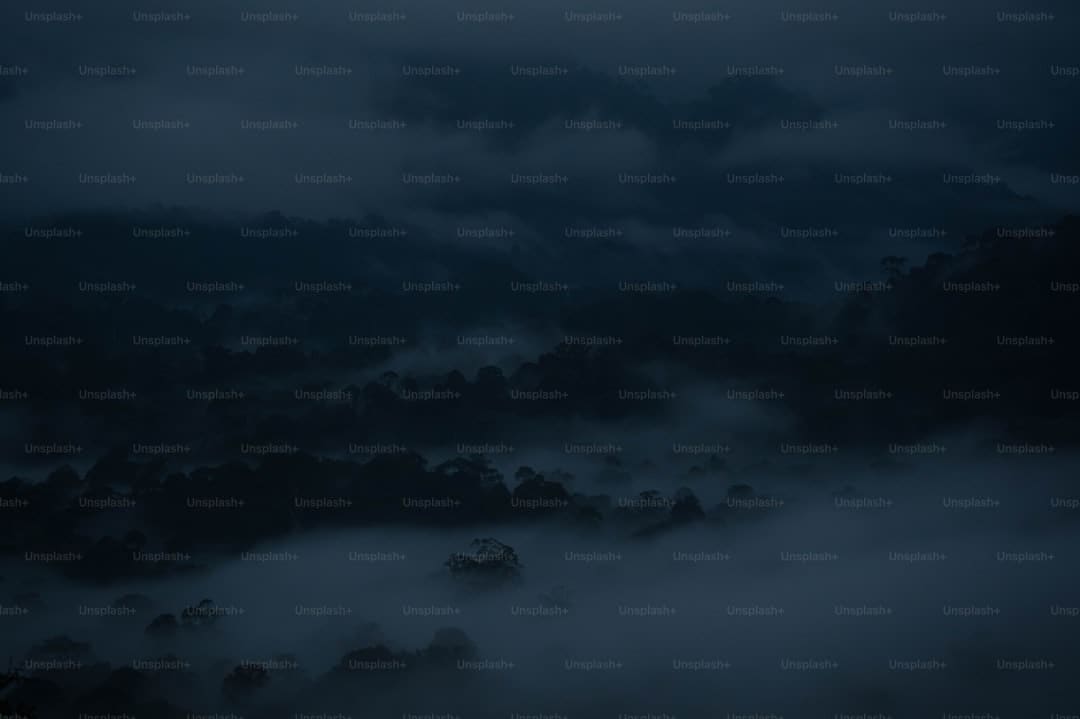 李承铉对张晋愧疚道歉 综艺里的真实温度